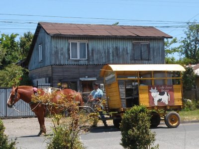 Lechero Villarrica