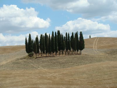 פאזל של Paesaggio toscano