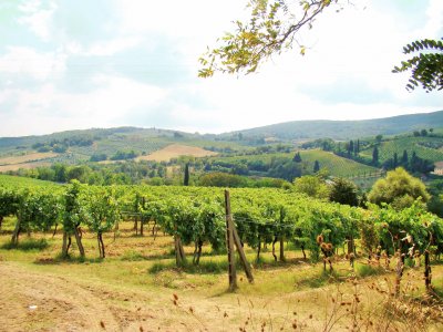 San Gimignano