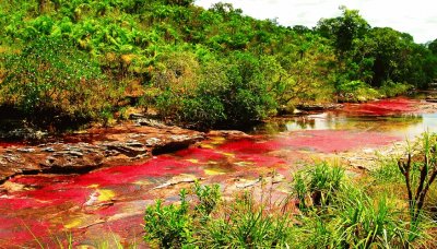 red river jigsaw puzzle