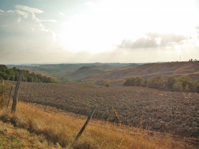 פאזל של Castelnuovo Berardenga