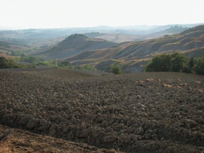 Castelnuovo Berardenga