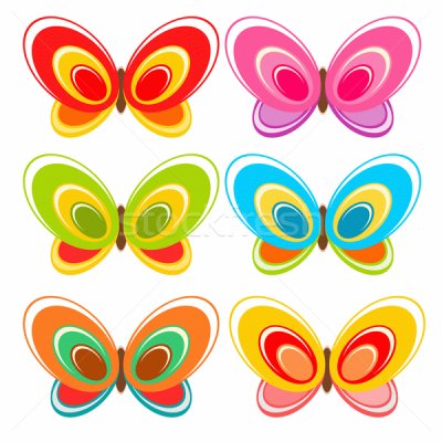 mariposa jigsaw puzzle