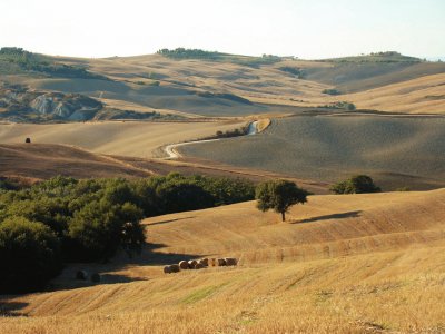 פאזל של Pienza