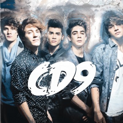 cd9 jigsaw puzzle