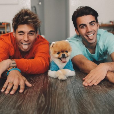 dosogas y Jiffpom