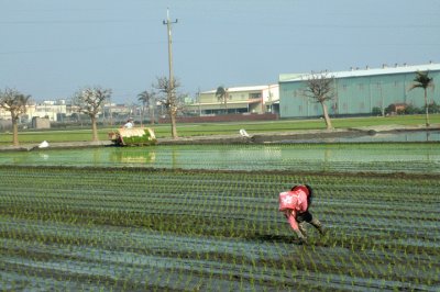 TAIWAN
