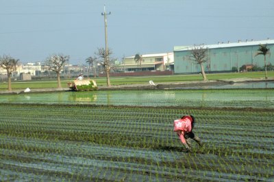 TAIWAN