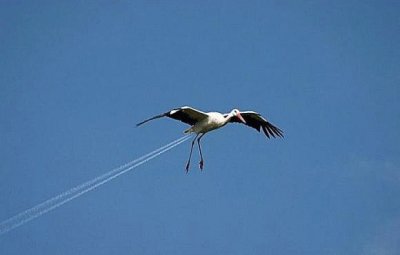 å·§åˆ