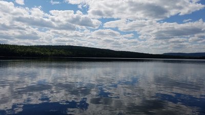 Maine View