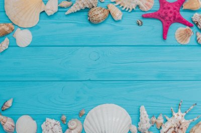 Conchitas de Mar