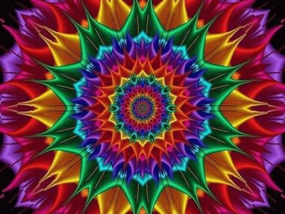 ç¶»æ”¾