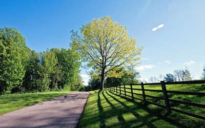 Campo jigsaw puzzle