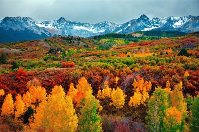 aspen jigsaw puzzle