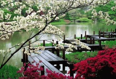 EL JARDIN JAPONES jigsaw puzzle