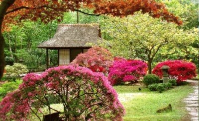 EL JARDIN JAPONES jigsaw puzzle