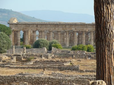 פאזל של Paestum