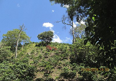 Vereda el Tablazo, Montebello Antioquia