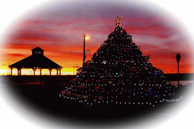 Lobster crate Christmas tree at sunset