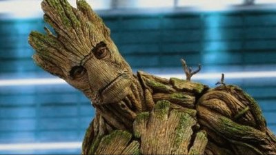 groot 2