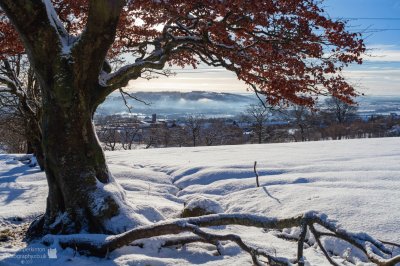 Land of snow jigsaw puzzle