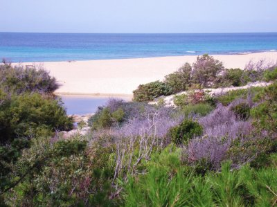 Spiaggia Lu Litarroni, Sardegna