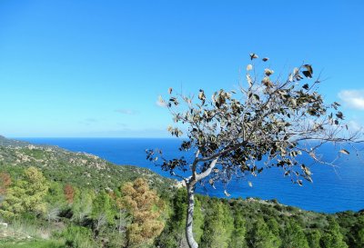 Costa Rei, Sardegna jigsaw puzzle