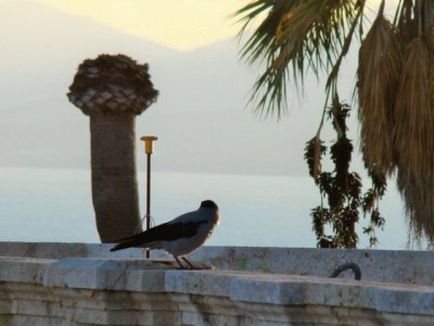 Cagliari, Sardegna jigsaw puzzle