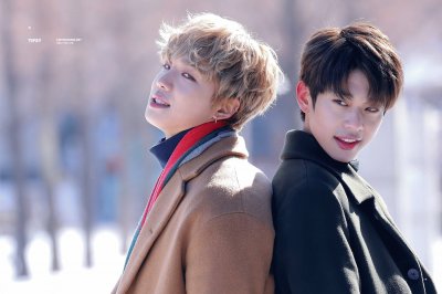 MXM jigsaw puzzle