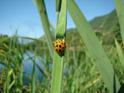 Saint-Jean de la Porte, Savoie