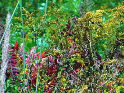 Roadside brush jigsaw puzzle