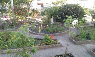 פאזל של el mas hermoso jardÃ­n de AiguÃ¡!!!