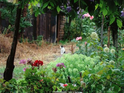 Saint-Pierre d 'Albigny, Savoie jigsaw puzzle