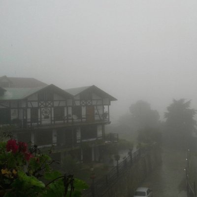 Neblina en Colina Tovar, Aragua, Venezuela