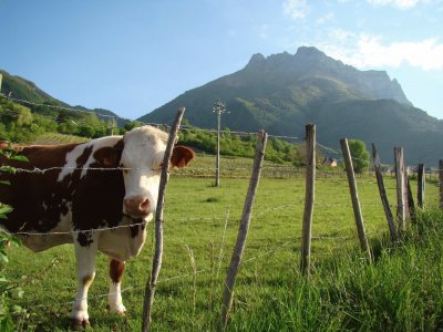 Saint-Pierre d 'Albigny, Savoie jigsaw puzzle