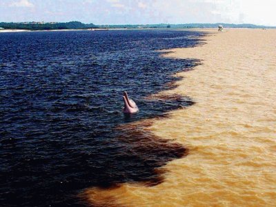 פאזל של Encuentro entre RÃ­o Orinoco y RÃ­o CaronÃ­