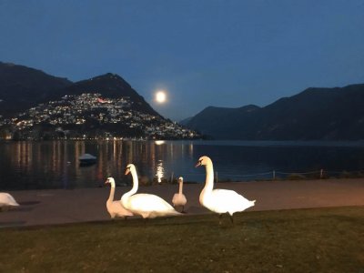 Lugano