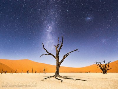 Desierto de Namib jigsaw puzzle