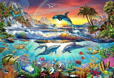 Animaux