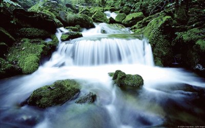 פאזל של WATERFALL