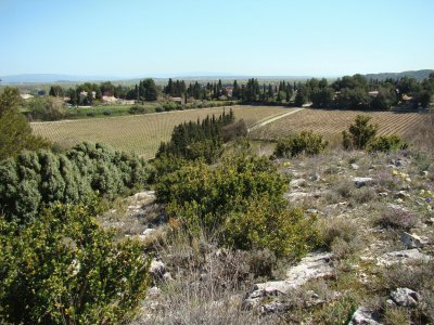 Sauveterre, Gard, France jigsaw puzzle