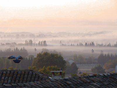 Sauveterre, Gard, France