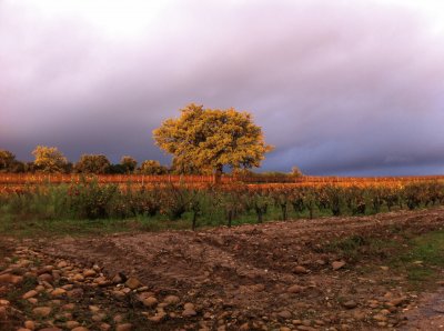 פאזל של Lirac, Gard, France