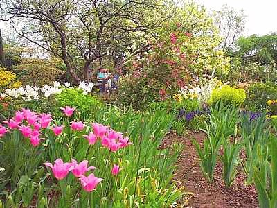 פאזל של Attenborough Garden