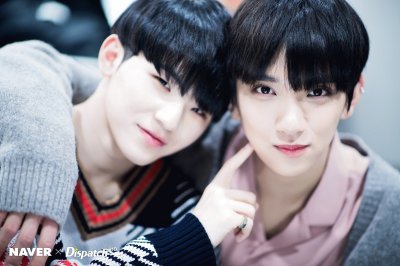 פאזל של SEVENTEEN-Woozi and Joshua