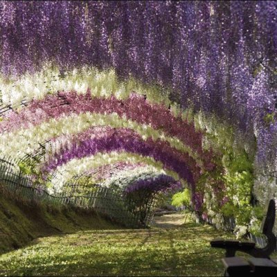 JardÃ­n Kawachi Fuji jigsaw puzzle