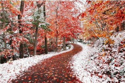 OtoÃ±o-invierno jigsaw puzzle