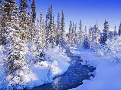 Paisaje invierno jigsaw puzzle