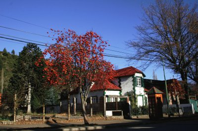 San MartÃ­n de los Andes