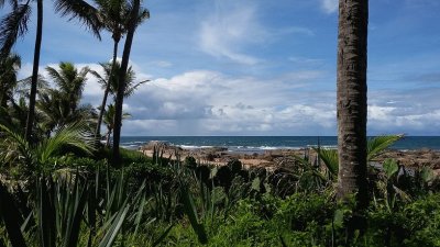 Praia do Forte, BahÃ­a jigsaw puzzle